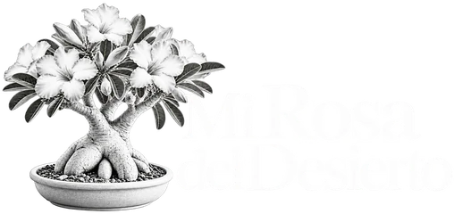 Mi Rosa del Desierto